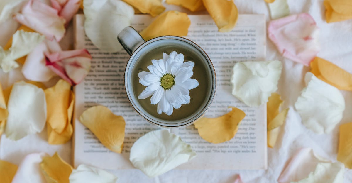 How can I remove burnt smell from white sauce? - Blossoming Chrysanthemum in cup of green tea on textbook How can I remove burnt smell from white sauce? - Blossoming Chrysanthemum in cup of green tea on textbook