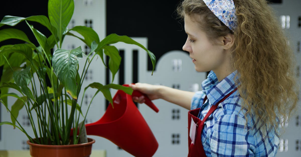 How can I store truffles? - Woman Watering Plant How can I store truffles? - Woman Watering Plant