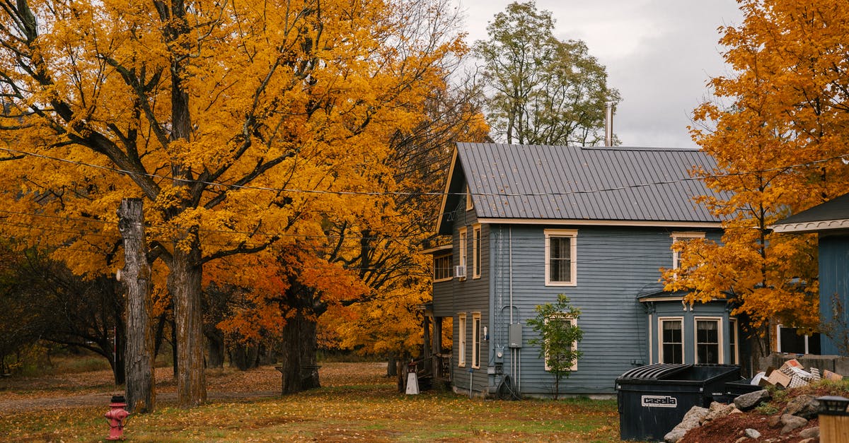 How can I tell whether a jackfruit has yellow or orange flesh by looking at the exterior of the jackfruit (i.e., without opening it)? - Cottage with triangular roof surrounded by tall trees with vibrant yellow leaves in autumn