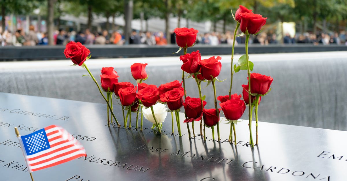 How can one use Thai basil stems and flowers? - Flowers Offered on 911 Memorial Day How can one use Thai basil stems and flowers? - Flowers Offered on 911 Memorial Day
