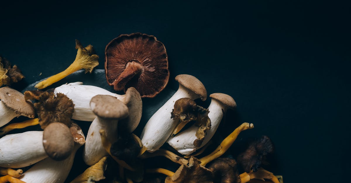 How common are worms in dried mushrooms? - Brown and White Mushrooms in Black Surface How common are worms in dried mushrooms? - Brown and White Mushrooms in Black Surface