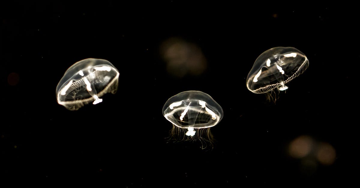 How deep is a deep pie dish, traditionally? - White and Black Light Bulb Lot How deep is a deep pie dish, traditionally? - White and Black Light Bulb Lot