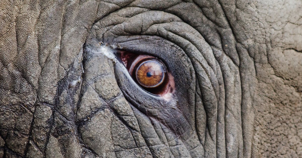 How do big companies can products at large scales? [closed] - Animal Eye