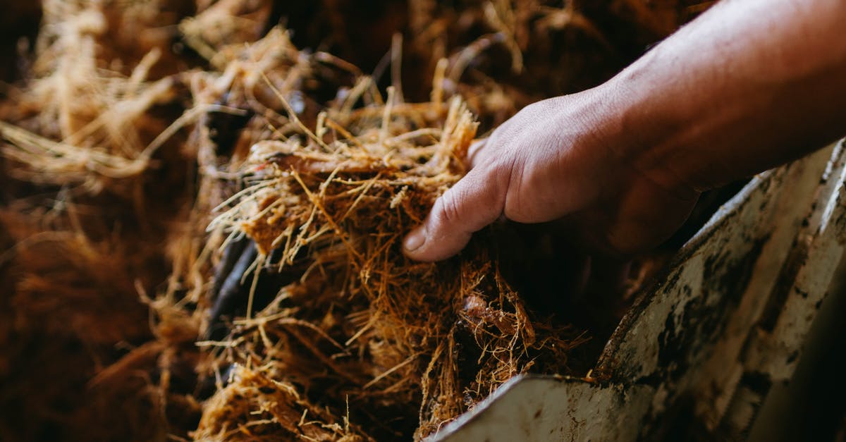 How do I choose between shredded and finely shredded cheddar cheese? - Hand Touching Shredded Agave Plant How do I choose between shredded and finely shredded cheddar cheese? - Hand Touching Shredded Agave Plant