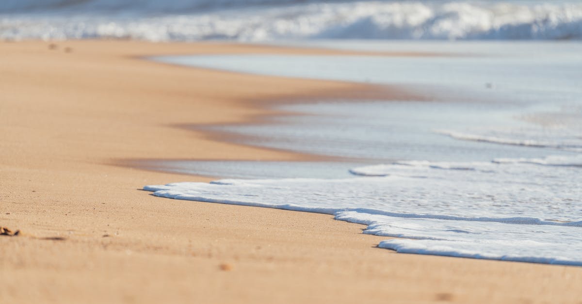 How do I clean deep burns in my oven? - Sandy smooth coast washed by foamy peaceful waves of deep powerful ocean in sunlight How do I clean deep burns in my oven? - Sandy smooth coast washed by foamy peaceful waves of deep powerful ocean in sunlight