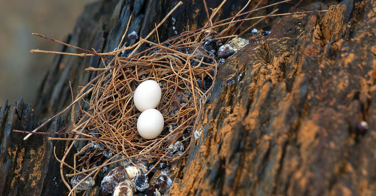 How do I cook food in this square stone oven? - Pair of eggs in nest How do I cook food in this square stone oven? - Pair of eggs in nest
