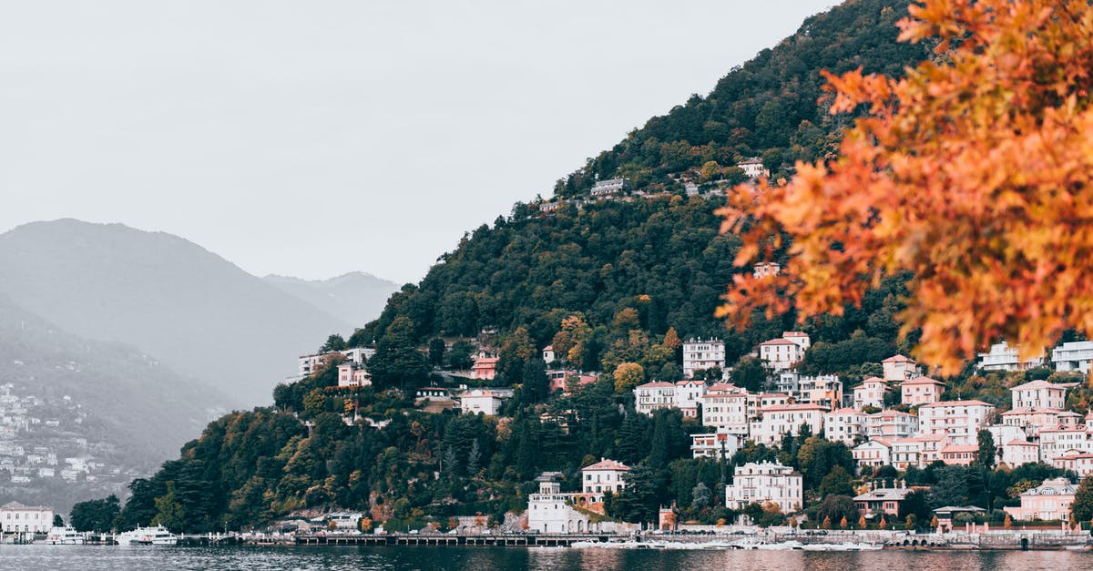 How do I cook with bay leaves? - Houses Near Body of Water How do I cook with bay leaves? - Houses Near Body of Water
