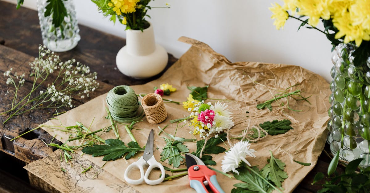 How do I cut a blooming onion? - Scissors and pruner on craft paper covered with cut leaves and flowers among bouquets on wooden table in floristry workshop How do I cut a blooming onion? - Scissors and pruner on craft paper covered with cut leaves and flowers among bouquets on wooden table in floristry workshop