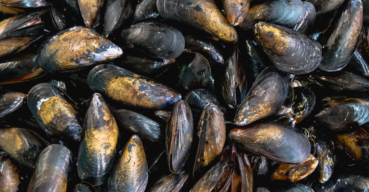 How do I determine if my mussels are fresh? - Plenty of Black and Brown Mussels How do I determine if my mussels are fresh? - Plenty of Black and Brown Mussels