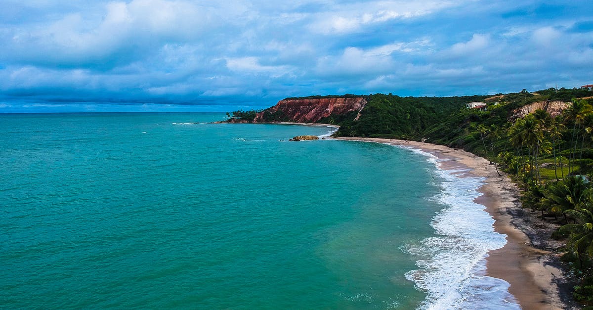 How do I extract coconut milk from coconut meat? - Aerial Photo of Beach