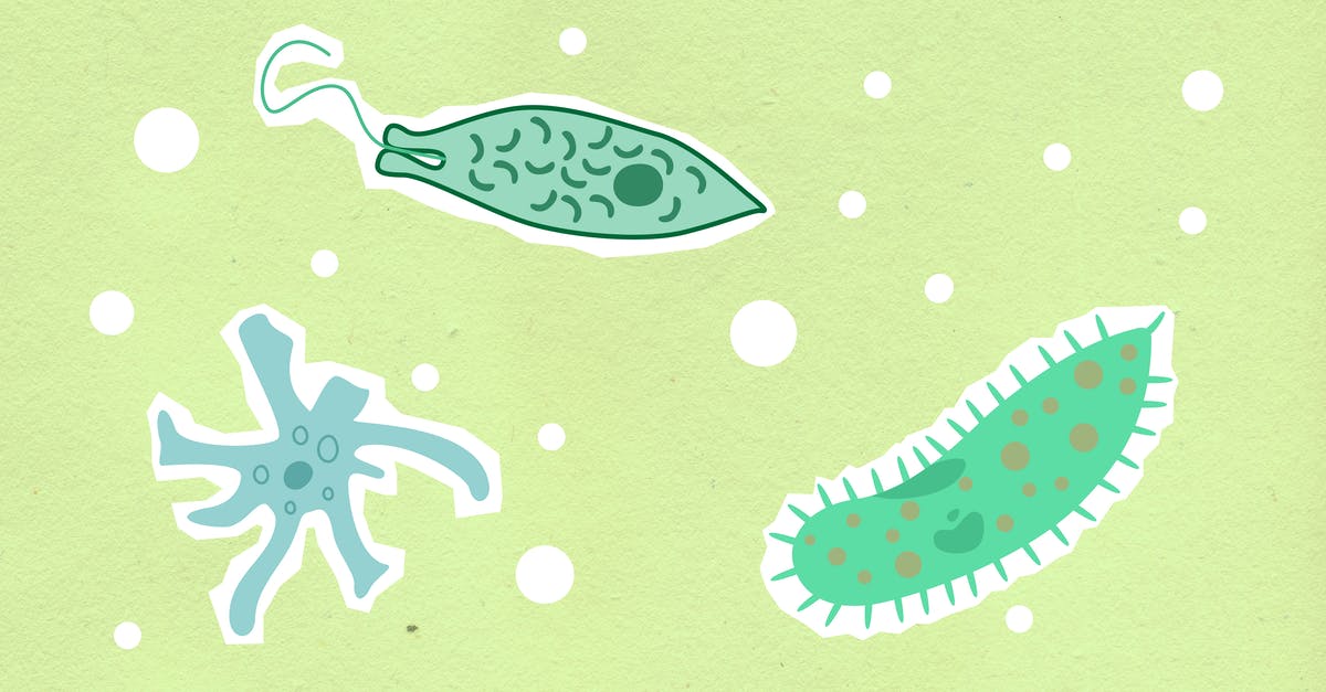 How do I extract the membrane from an egg? - Top view of decorative cardboard appliques representing collection of cells with cores in capsules How do I extract the membrane from an egg? - Top view of decorative cardboard appliques representing collection of cells with cores in capsules