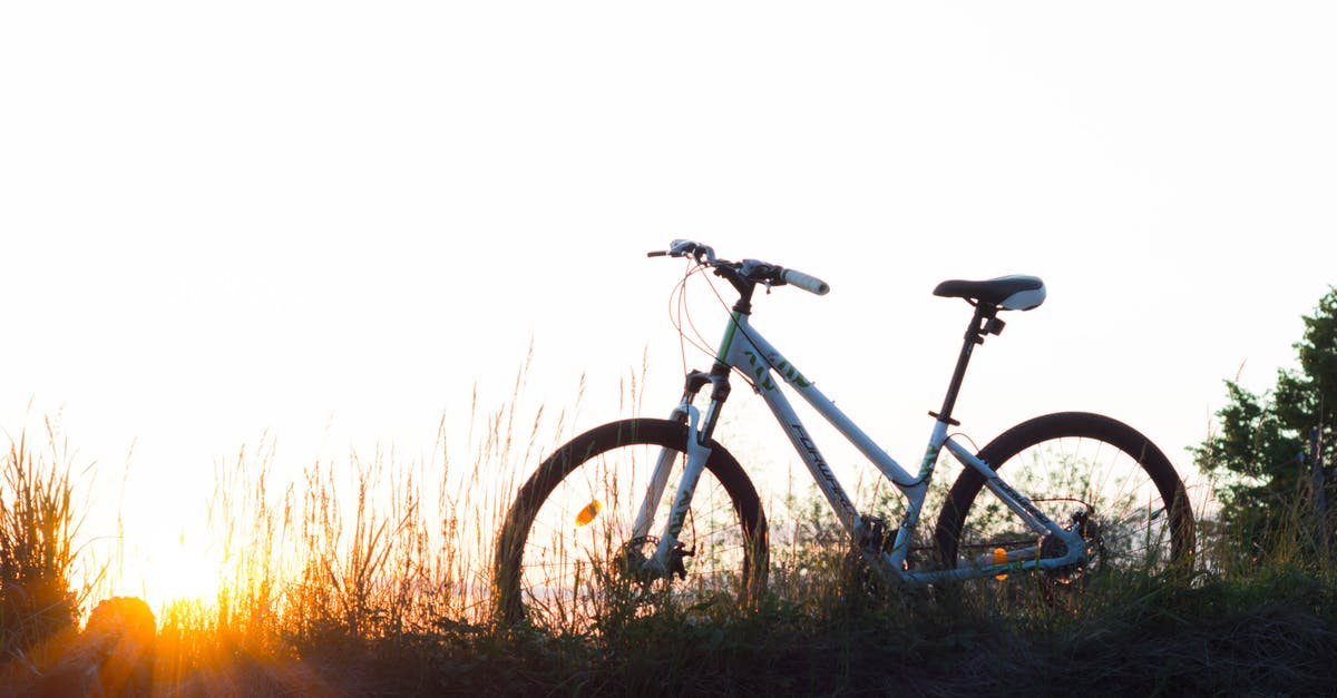 How do I get my spring rolls crispy? - Teal Hardtail Bike on Green Grass How do I get my spring rolls crispy? - Teal Hardtail Bike on Green Grass
