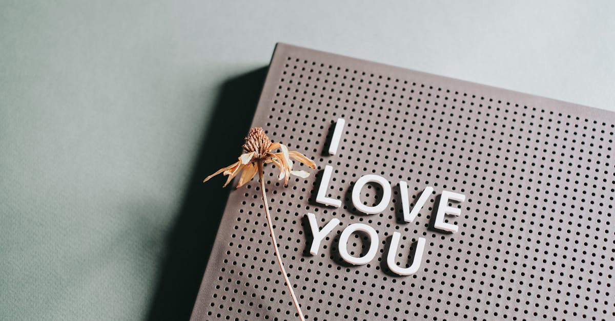How do I make dried blueberries? - I Love You Message and Dried Flower on Brown Board 