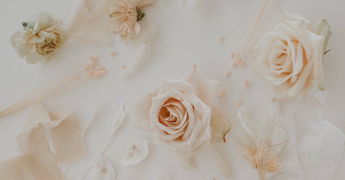 How do I measure frozen herbs, like dried or fresh? - Delicate buds of roses attached to white wall with thin twigs and ribbon How do I measure frozen herbs, like dried or fresh? - Delicate buds of roses attached to white wall with thin twigs and ribbon
