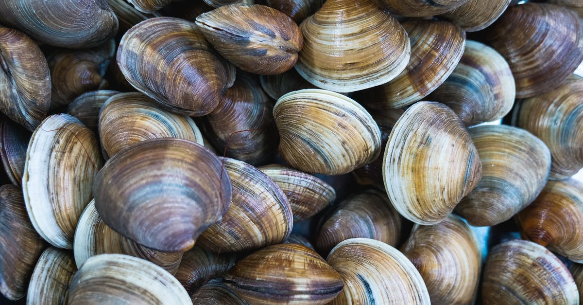 How do I prepare fresh clams for clam chowder? - Brown and Gray Wooden Round Decors How do I prepare fresh clams for clam chowder? - Brown and Gray Wooden Round Decors