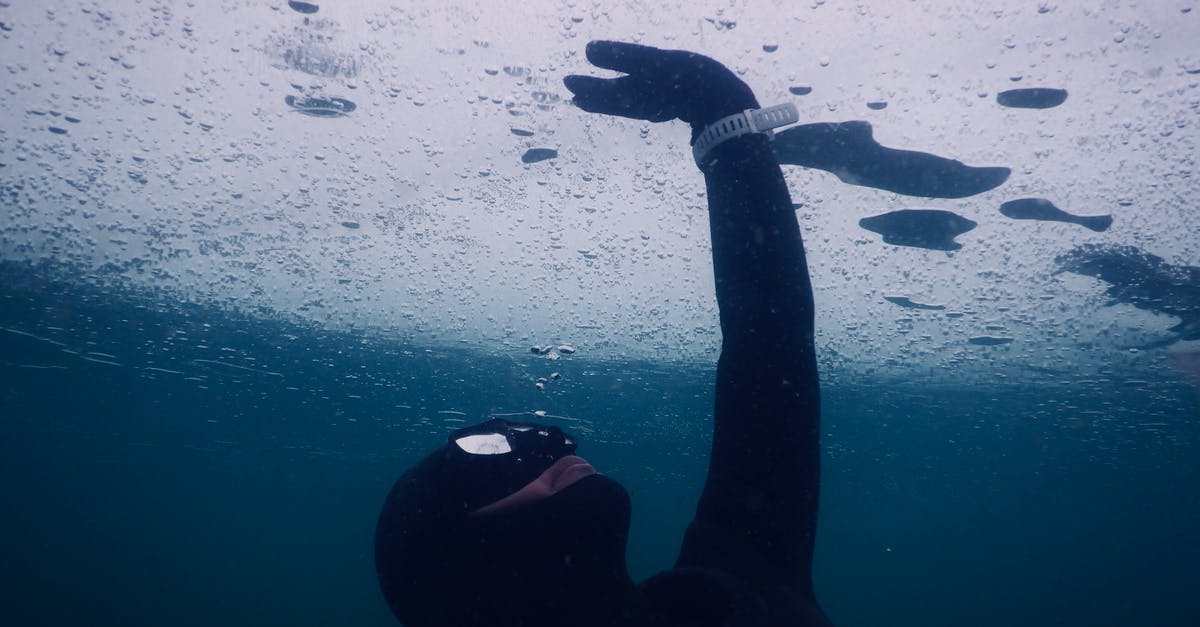 How do I properly freeze and reheat a cooked, marinated steak? - Anonymous diver in mask and wetsuit touching solid ice while swimming under seawater during freediving How do I properly freeze and reheat a cooked, marinated steak? - Anonymous diver in mask and wetsuit touching solid ice while swimming under seawater during freediving