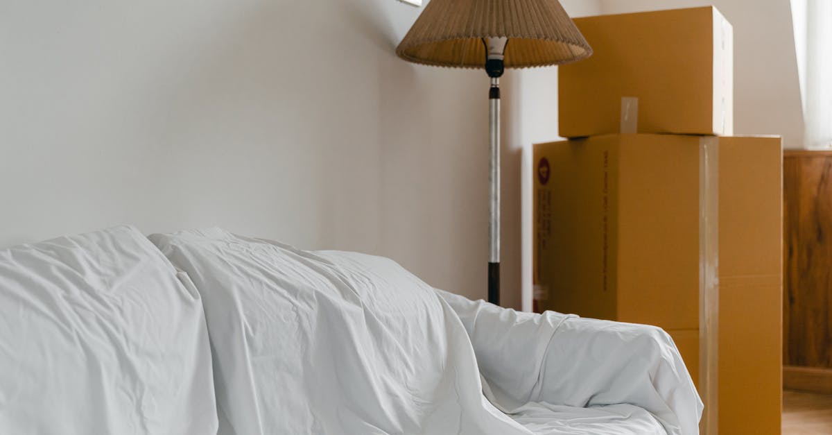 How do I remove a sheet cake from a pan? - Covered with sheet sofa and floor lamp and packed cardboard boxes in light spacious room of new contemporary house How do I remove a sheet cake from a pan? - Covered with sheet sofa and floor lamp and packed cardboard boxes in light spacious room of new contemporary house