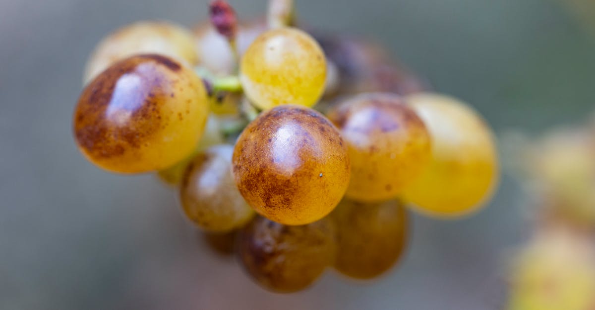 How do I ripen a Mango? - bunch of grapes