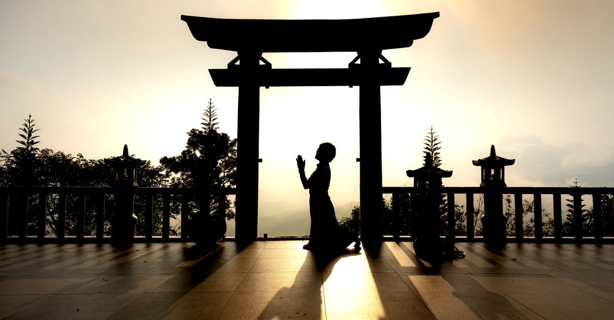 How do I thicken my Japanese curry after the fact? - Silhouette of Man Standing on a Building How do I thicken my Japanese curry after the fact? - Silhouette of Man Standing on a Building