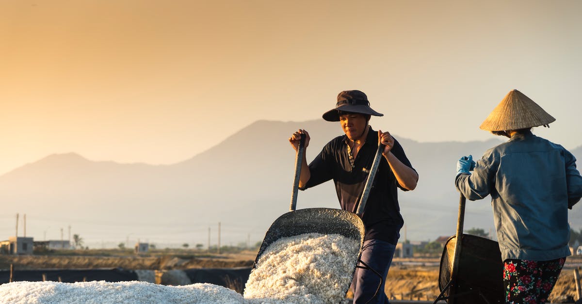 How do potatoes work against salt - Man In Black Hat Holding Wheelbarrow How do potatoes work against salt - Man In Black Hat Holding Wheelbarrow