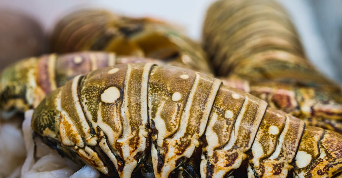 How do you cook frozen Lobster Tails? - Macro Photography of Fresh Lobster Tail How do you cook frozen Lobster Tails? - Macro Photography of Fresh Lobster Tail