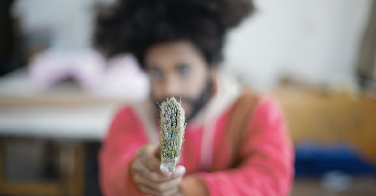 How do you prepare/cook Kohl Rabi? - Unrecognizable young bearded ethnic craftsman pointing with paintbrush at camera sitting at table in modern creative workshop