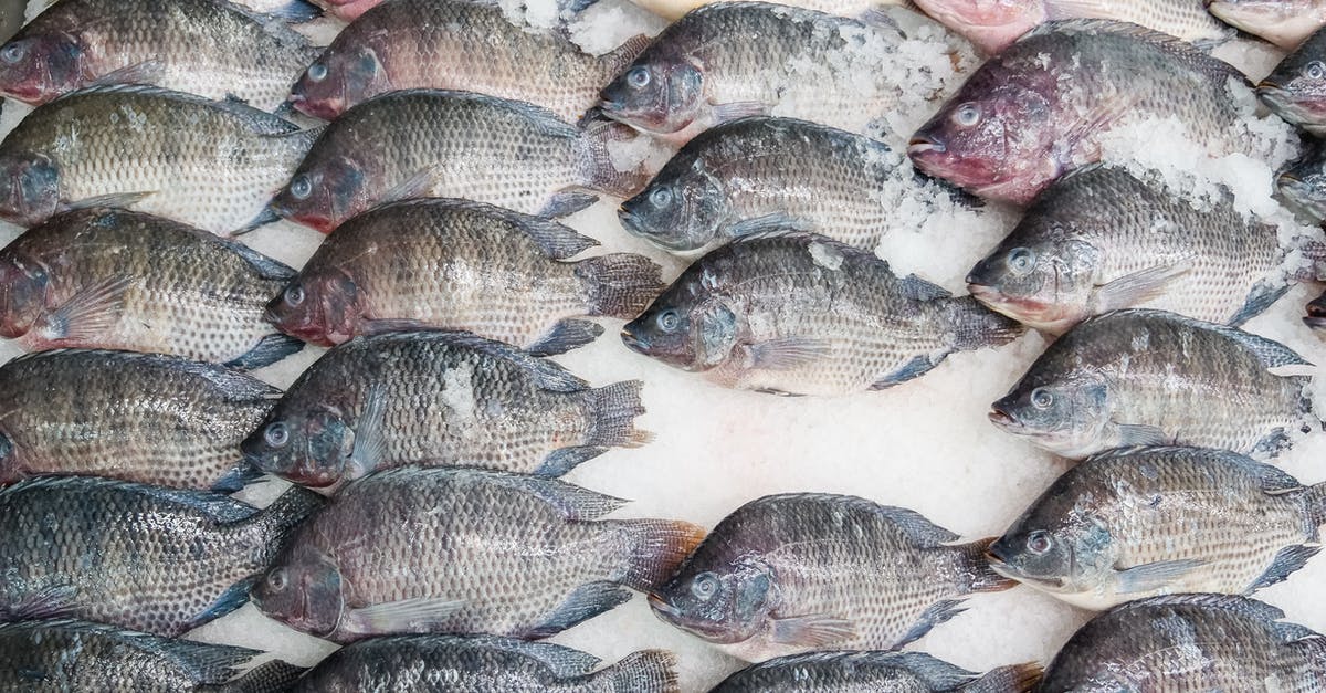 How do you sear tilapia fish? - Displayed Raw Tilapia on a Row 