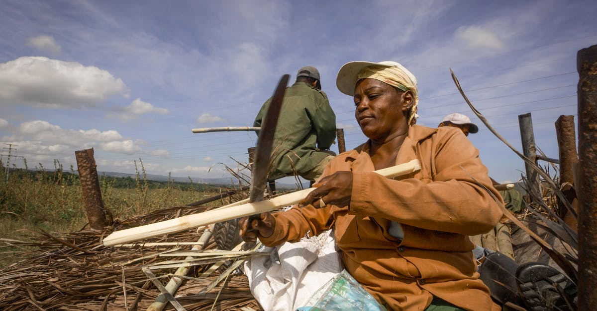 How does a marzipan knife work? - Man in Brown Jacket and Green and White Camouflage Pants Sitting on Brown Wooden Stick during How does a marzipan knife work? - Man in Brown Jacket and Green and White Camouflage Pants Sitting on Brown Wooden Stick during