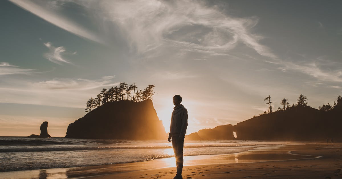 How does lentils' nutritional profile change in germinating lentils in water? - Silhouette of Man Standing on Beach during Sunset How does lentils' nutritional profile change in germinating lentils in water? - Silhouette of Man Standing on Beach during Sunset