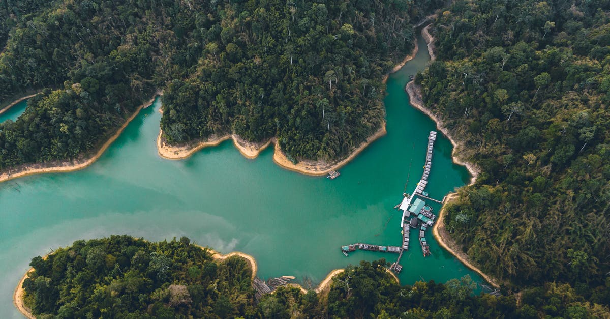 How does sourdough (wild yeast) starter differ from location to location? - Breathtaking drone view of houses on water and sandy coastline surrounded by exotic forest and lagoon How does sourdough (wild yeast) starter differ from location to location? - Breathtaking drone view of houses on water and sandy coastline surrounded by exotic forest and lagoon