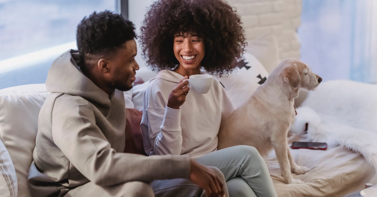 How does the addition of Chicory affect coffee? - Cheerful young African American couple in stylish hoodies communicating and drinking coffee while resting on comfortable couch with cute bed How does the addition of Chicory affect coffee? - Cheerful young African American couple in stylish hoodies communicating and drinking coffee while resting on comfortable couch with cute bed