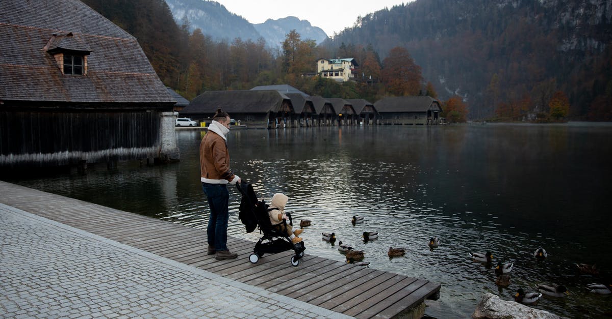How does yeast feed on the water - Father and little kid in stroller in casual warm outerwear standing on wooden pier near lake and looking at ducks swimming in calm water How does yeast feed on the water - Father and little kid in stroller in casual warm outerwear standing on wooden pier near lake and looking at ducks swimming in calm water