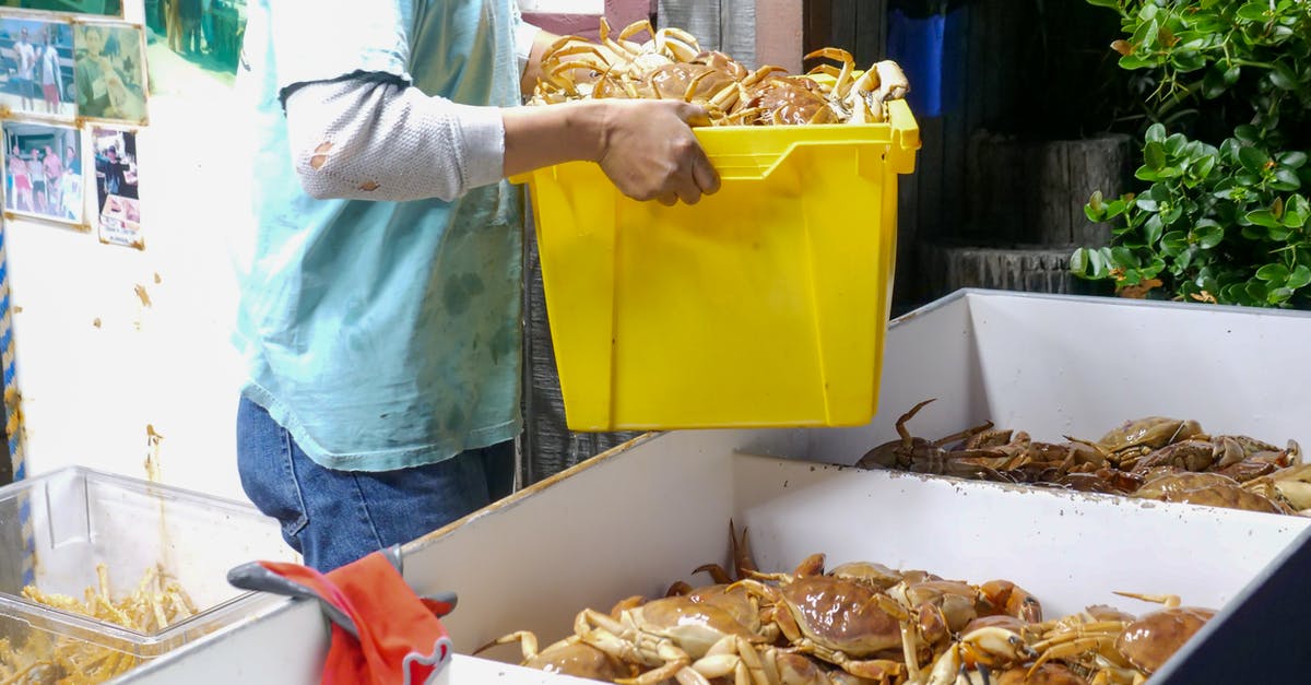 How efficient is stock for protein extraction? - Person in Blue Long Sleeve Shirt Holding Yellow Plastic Container How efficient is stock for protein extraction? - Person in Blue Long Sleeve Shirt Holding Yellow Plastic Container