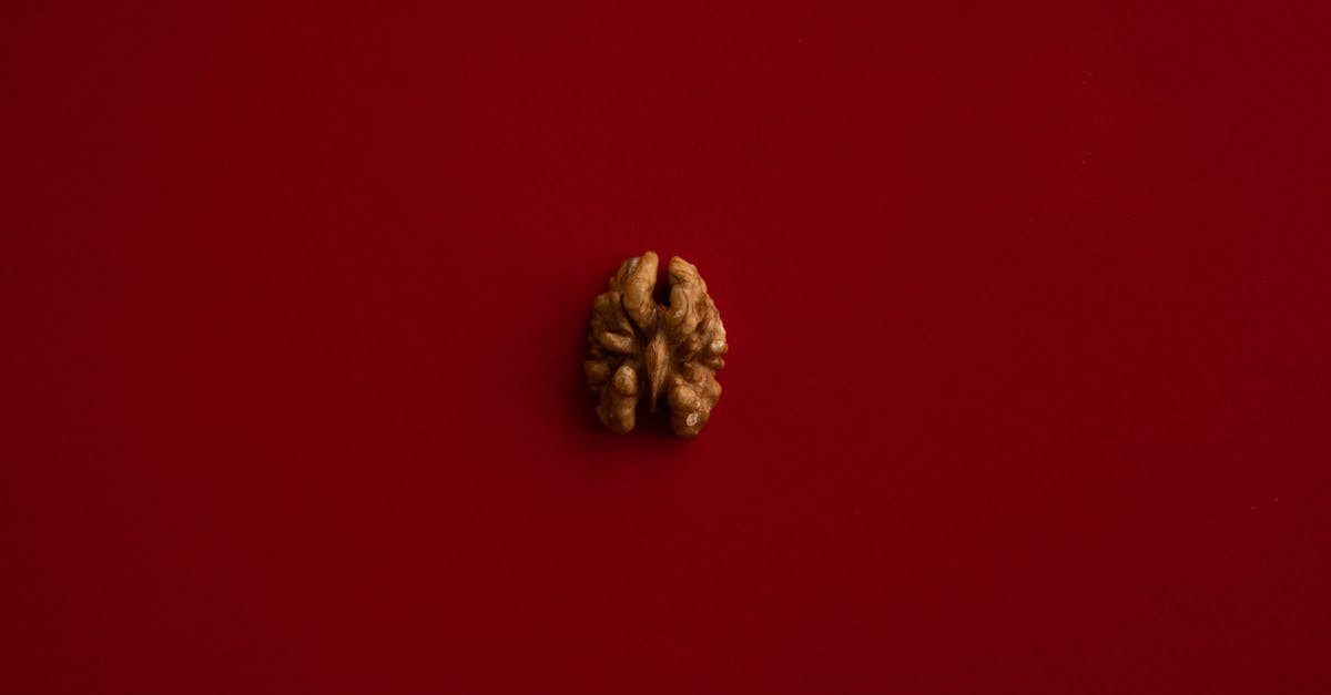 How important is it to roast nuts in a single layer? - Half of walnut kernel in center of red background How important is it to roast nuts in a single layer? - Half of walnut kernel in center of red background