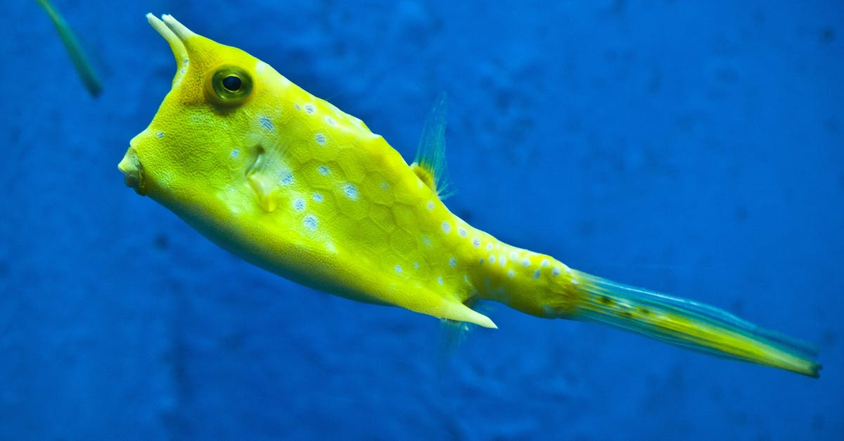 How long can I keep thawed vacuum-packed fish in the fridge? - Green Amphibian How long can I keep thawed vacuum-packed fish in the fridge? - Green Amphibian