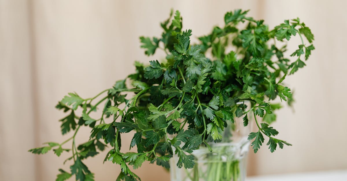 How long can I leave an uncooked steak out? - Bright green parsley in glass vase on table How long can I leave an uncooked steak out? - Bright green parsley in glass vase on table