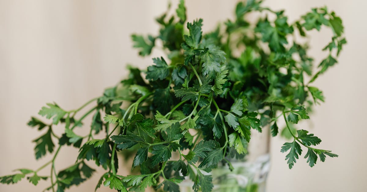 How long can I leave an uncooked steak out? - Bunch of bright green fresh parsley in decorative glass vase placed on white table How long can I leave an uncooked steak out? - Bunch of bright green fresh parsley in decorative glass vase placed on white table