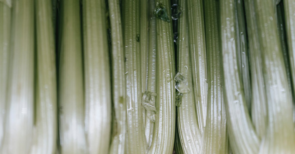 How long do raw chestnuts keep? - Backdrop of raw celery with wavy leaves and thick green stems in shiny light How long do raw chestnuts keep? - Backdrop of raw celery with wavy leaves and thick green stems in shiny light