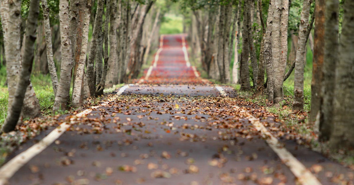 How long does ceviche keep? - Empty Road Between Trees