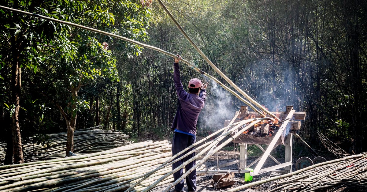 How long does it take to smoke a chicken? - Back view of anonymous male worker in casual wear standing near pile of bamboo sticks while drying thin long trunks in wooden construction with fire smoke near green trees How long does it take to smoke a chicken? - Back view of anonymous male worker in casual wear standing near pile of bamboo sticks while drying thin long trunks in wooden construction with fire smoke near green trees