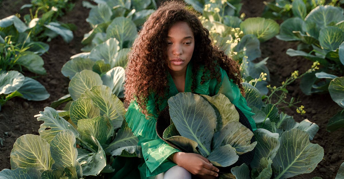 How long does it take to steam brown rice? - Woman Sitting on Ground and Embracing Brown Hat Full of Cabbage Leaves How long does it take to steam brown rice? - Woman Sitting on Ground and Embracing Brown Hat Full of Cabbage Leaves