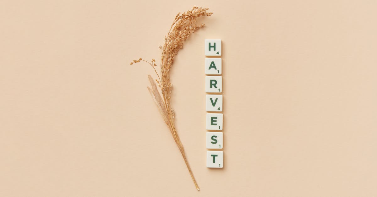 How long is wheat good for after harvest? - White and Blue Wooden Wall Decor