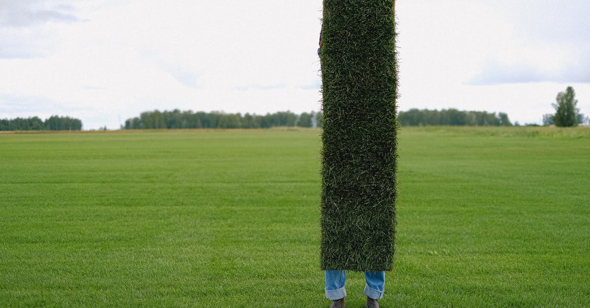 How long should chia seeds soak? - Unrecognizable farmer with grass lawn How long should chia seeds soak? - Unrecognizable farmer with grass lawn
