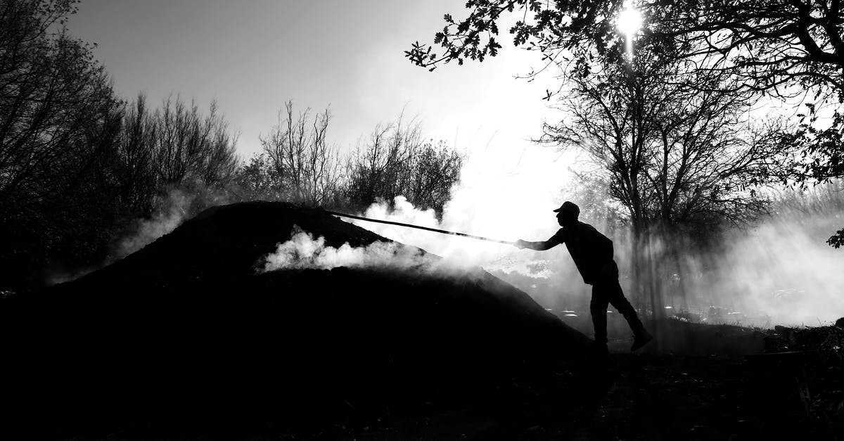 How long should I steam Artichokes? - Silhouette of Man Holding a Long Rod Under a Tree