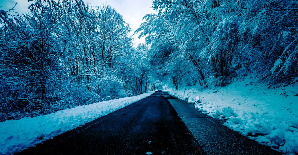 How long will a frozen lamb roast stay "good" ? [duplicate] - Black Concrete Road Surrounded by Trees With Snow