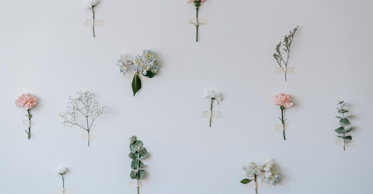 How many green onions are in a bunch? - White wall with thin twigs and colorful roses near hydrangea plant attached with tape in light room of modern studio How many green onions are in a bunch? - White wall with thin twigs and colorful roses near hydrangea plant attached with tape in light room of modern studio