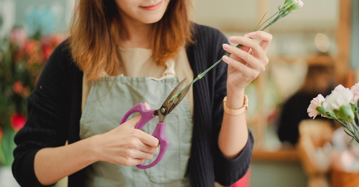 How should I store a cut bell pepper? - Crop female florist in apron holding scissors and cutting stem of flower while working in floral shop How should I store a cut bell pepper? - Crop female florist in apron holding scissors and cutting stem of flower while working in floral shop