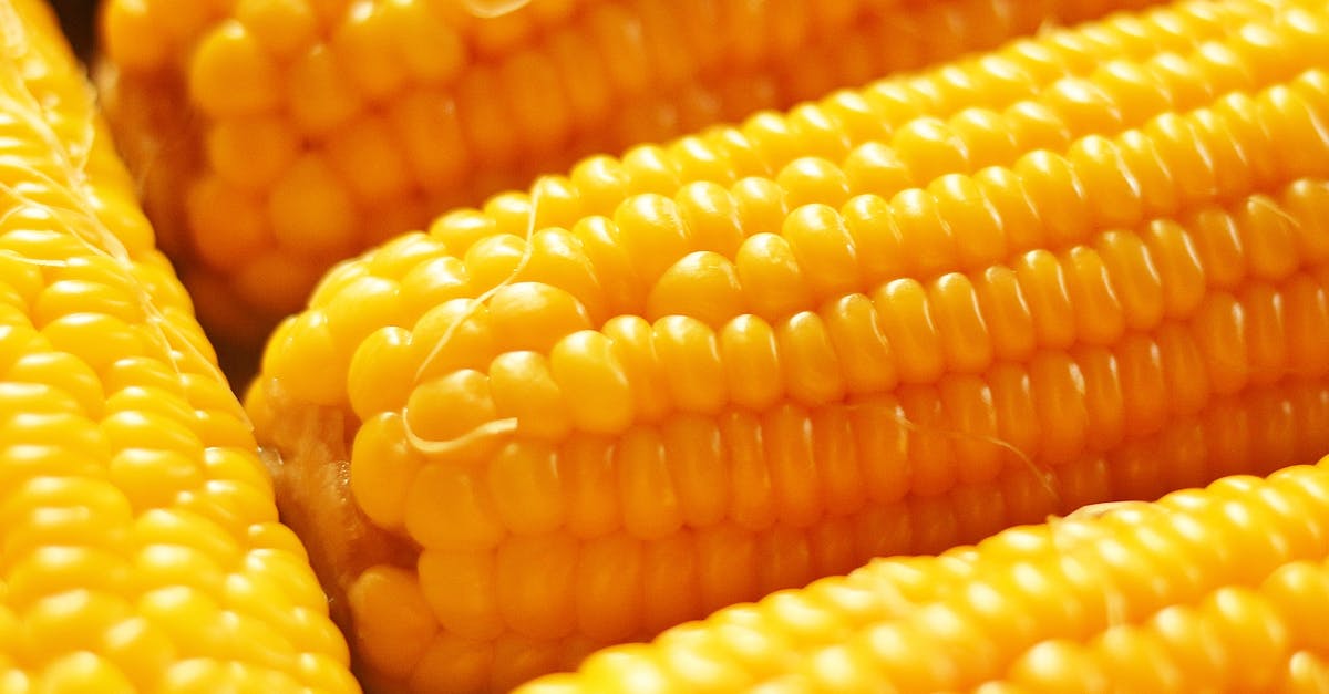How to add creaminess to cooked corn chowder; mine is too thick? - A Close-up Photo of Delicious Yellow Corn on the Cobs How to add creaminess to cooked corn chowder; mine is too thick? - A Close-up Photo of Delicious Yellow Corn on the Cobs