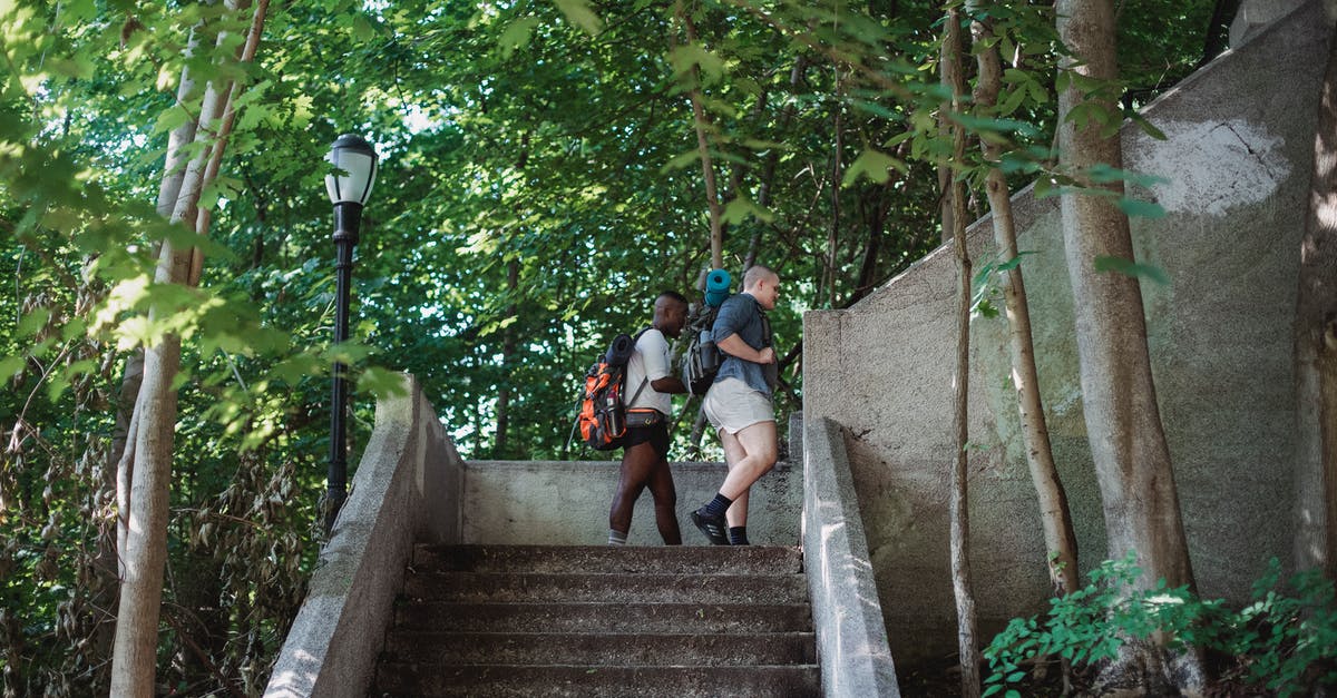 How to add water/milk to the sunny side up eggs? - Side view of active multiracial travelers walking upstairs in green park in sunny day How to add water/milk to the sunny side up eggs? - Side view of active multiracial travelers walking upstairs in green park in sunny day