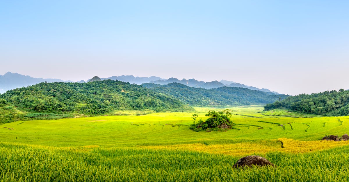 How to best hold wild rice - Green fields located in countryside How to best hold wild rice - Green fields located in countryside